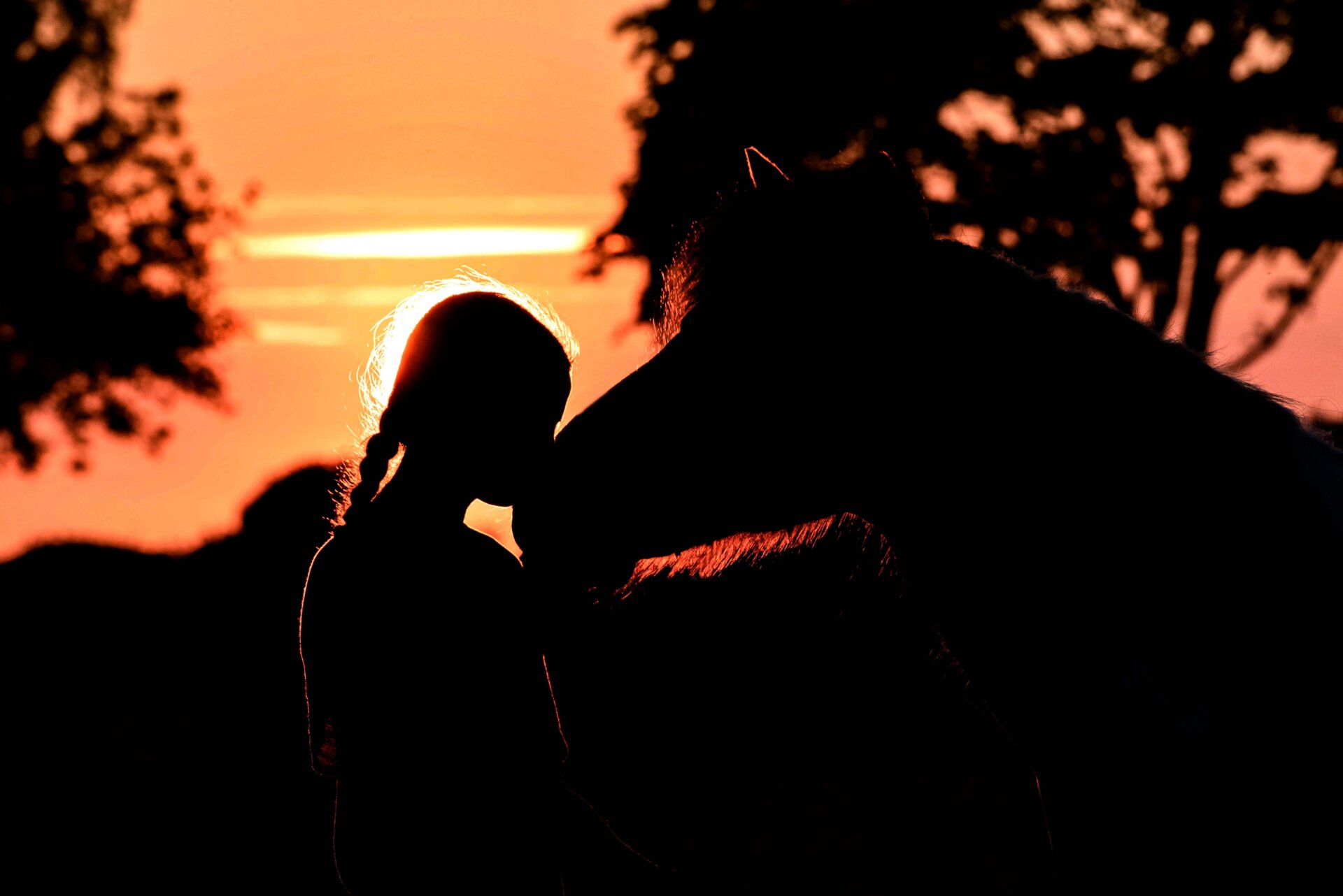 Mädchen mit Pferd im Sonnenuntergang