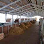 Stallgasse mit Pferdeboxen