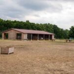 Blick in einen Pferdepaddock mit Offenstall